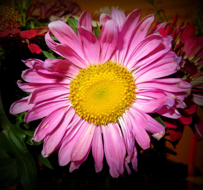 Фотография на PhotoGeek.ru