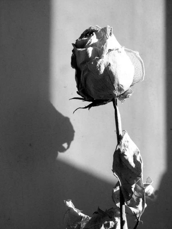 ... ����� Maru  �� PhotoGeek.ru #�����-�����