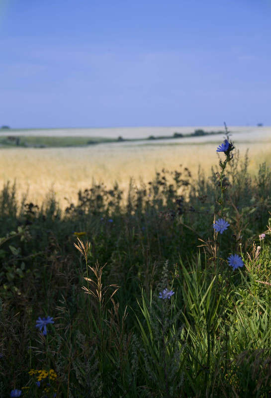 ... ����� ������  �� PhotoGeek.ru #������ ��� �������