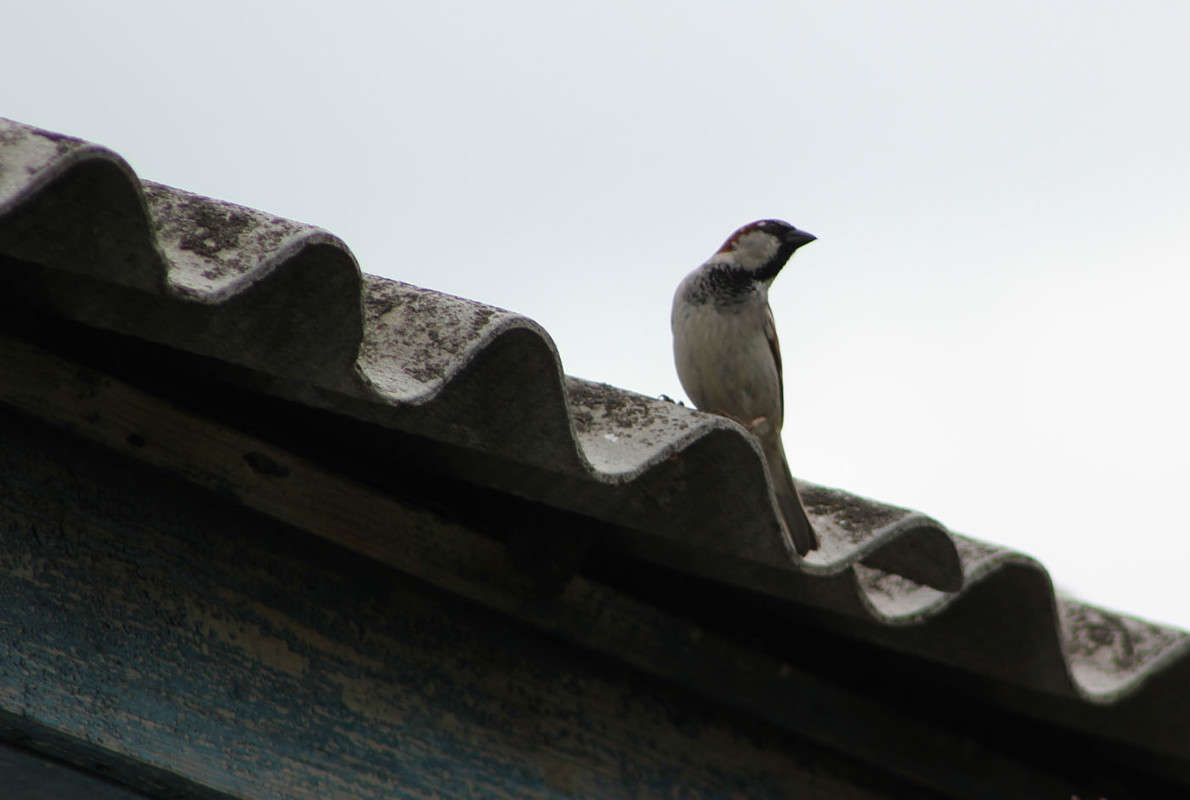 ������� �� ����� ����� �������  �� PhotoGeek.ru #�������� ��� #������ ��� �������