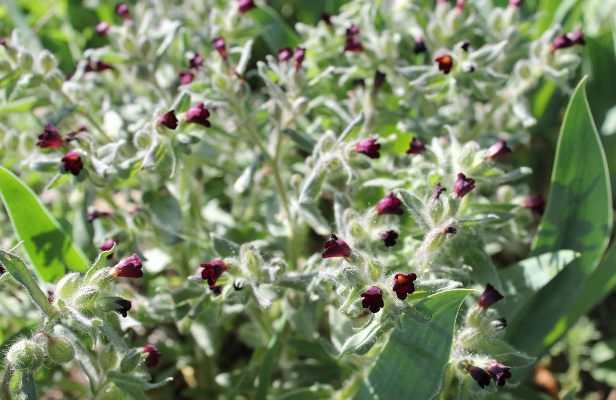 ����� ����� �������  �� PhotoGeek.ru #������ ��� ������� #����� ��������������