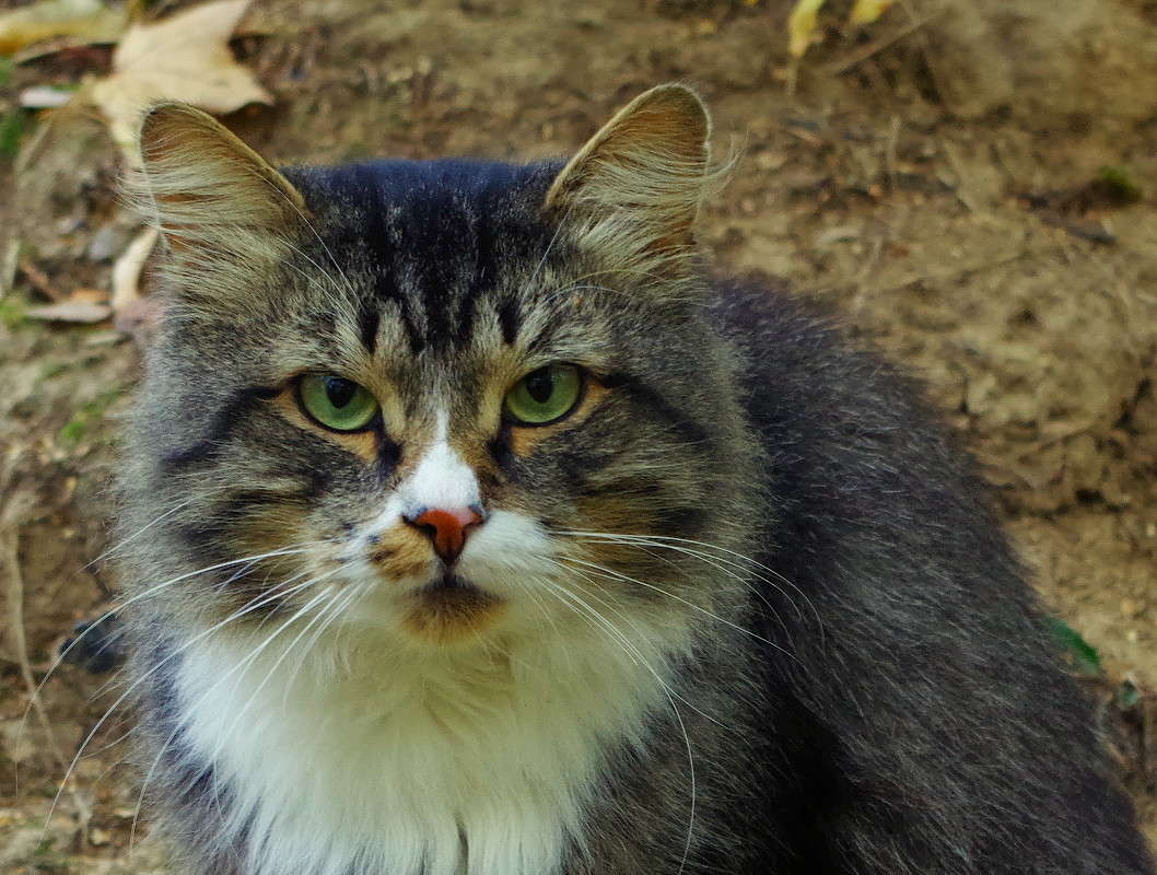 ... ����� rita  �� PhotoGeek.ru #KIT