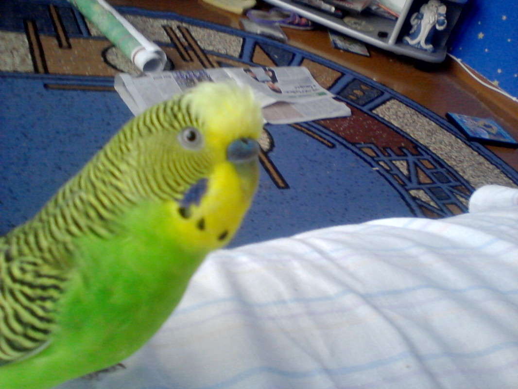 �������� �����   �� PhotoGeek.ru #�������� ���