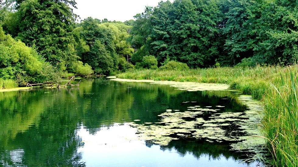 ������ ����� Mary  �� PhotoGeek.ru #������ ��� �������