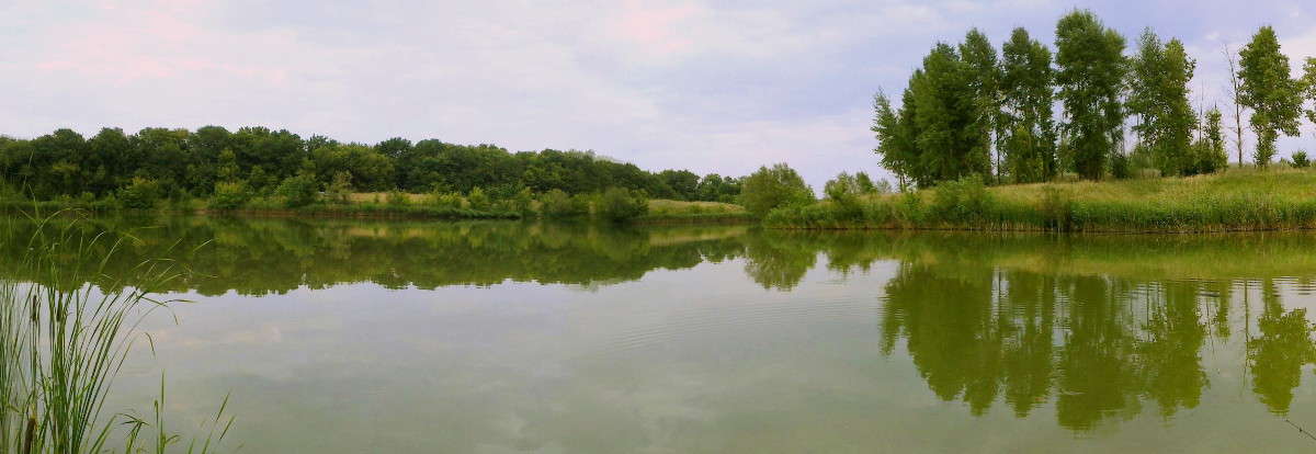 ��������� ����� Mary  �� PhotoGeek.ru #������ ��� �������