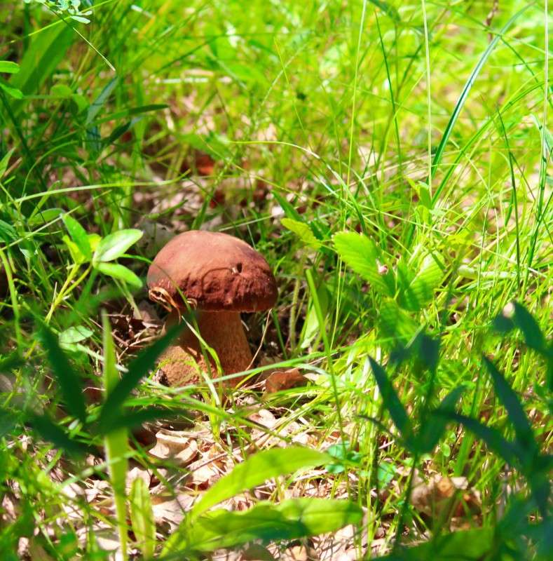 ����� ��������) ����� Mary  �� PhotoGeek.ru #������ ��� �������