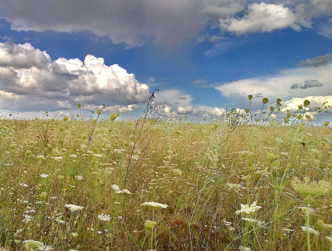 ����������� ������ � ����� ����� Mary  �� PhotoGeek.ru #������ ��� �������