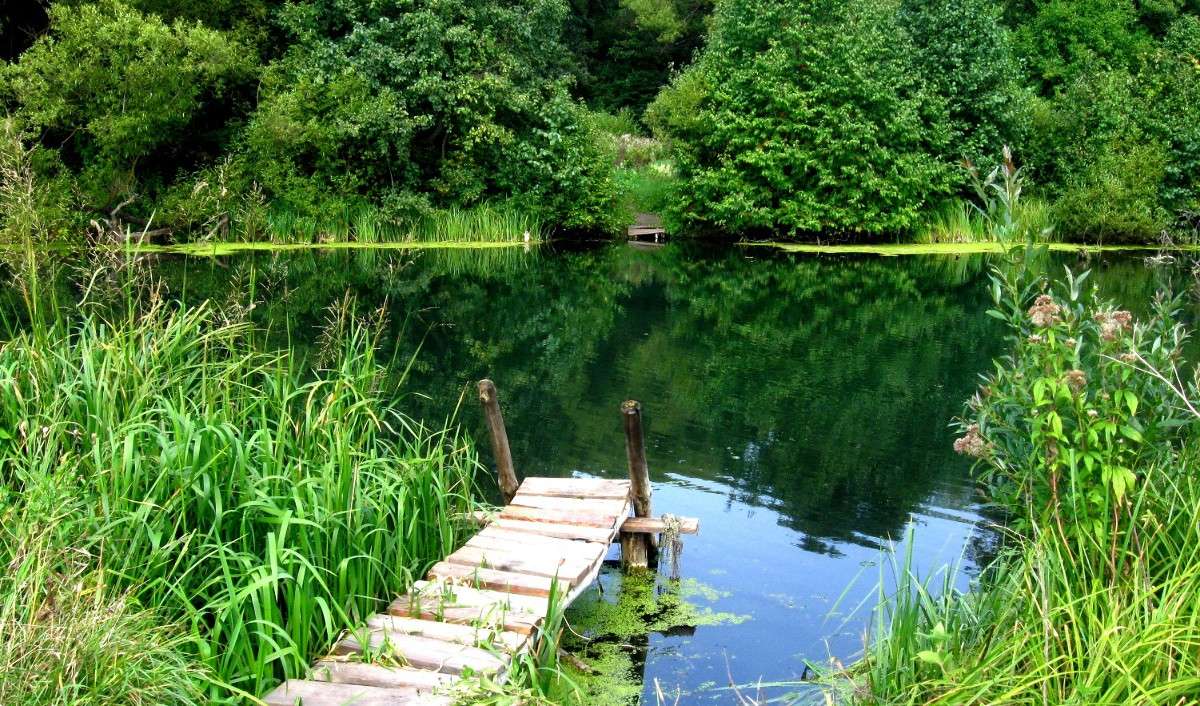 �� �������� ����� Mary  �� PhotoGeek.ru #������ ��� �������