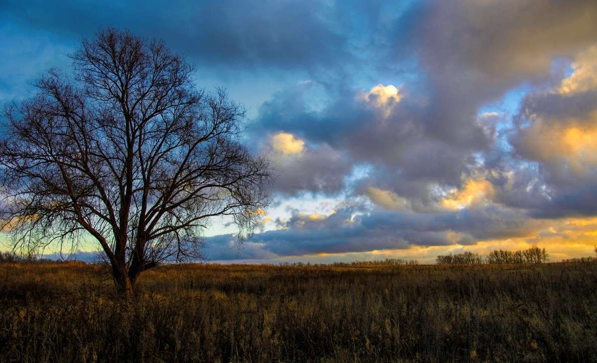 �� ������ ��� ����� Mary  �� PhotoGeek.ru #������ ��� �������