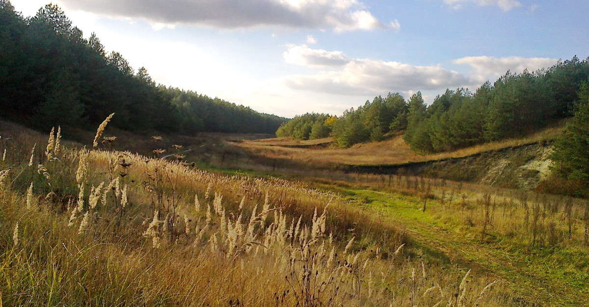 ��������� ���) ����� Mary  �� PhotoGeek.ru #������ ��� �������