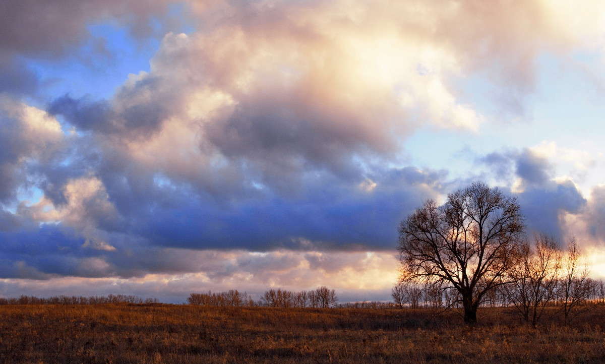 ... ����� Mary  �� PhotoGeek.ru #������ ��� �������