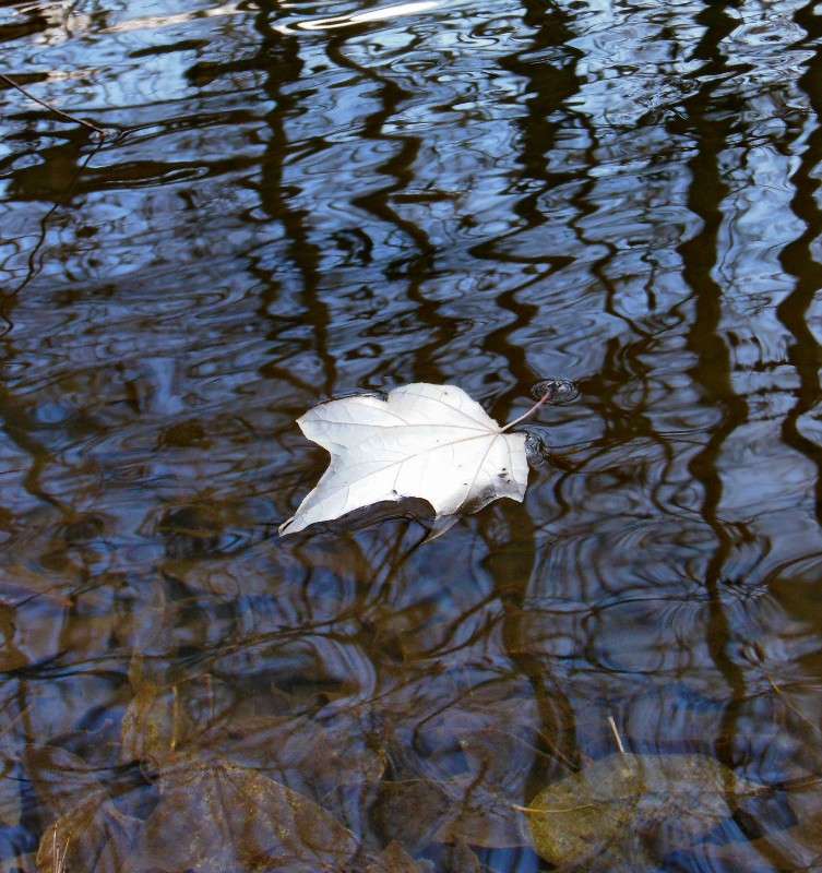 � ���� ����� Mary  �� PhotoGeek.ru #������ ��� �������