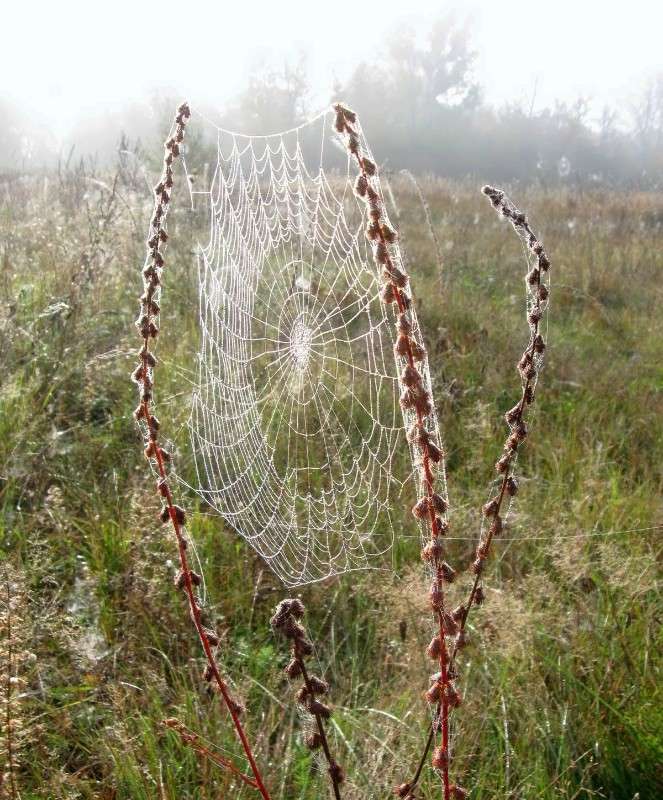 ������� ����� Mary  �� PhotoGeek.ru #������ ��� �������