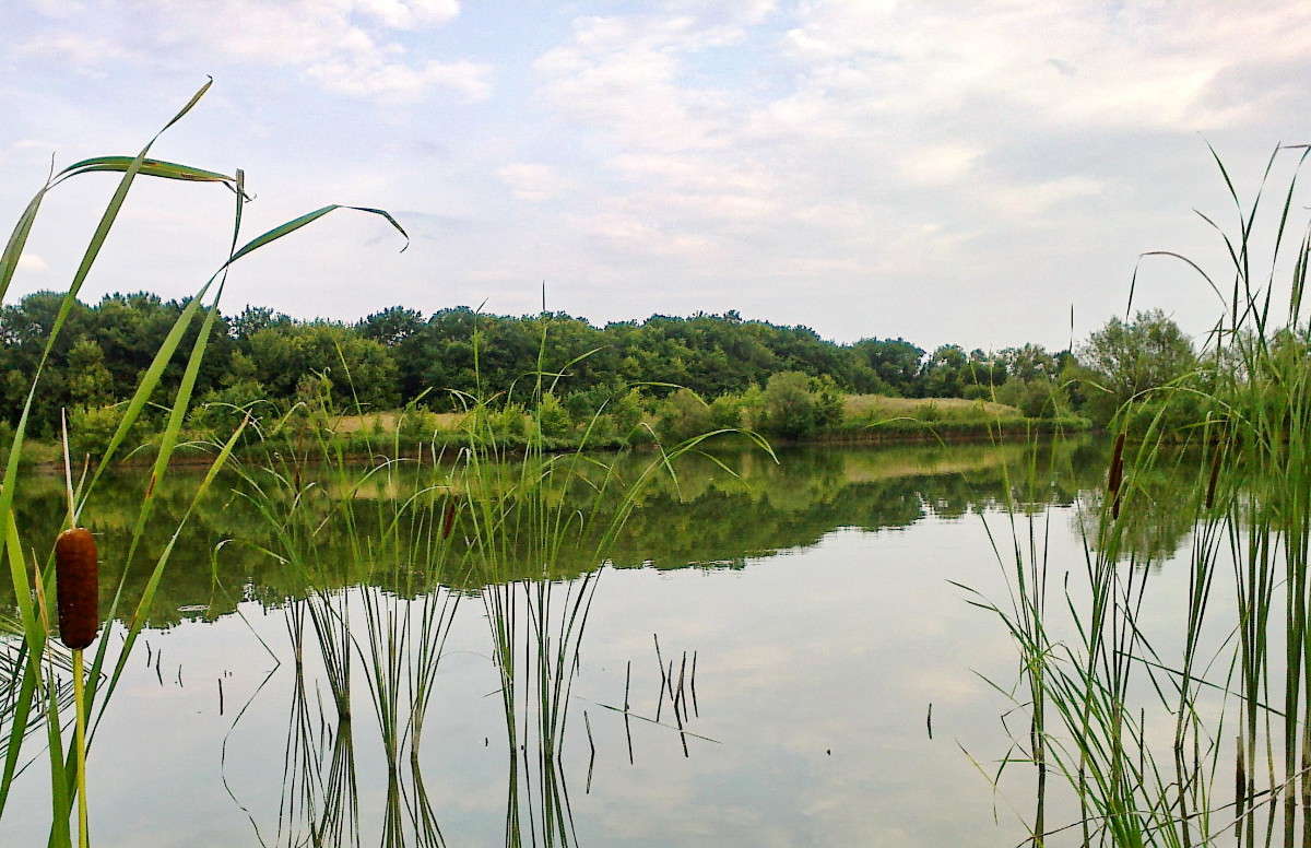 ������������ � ���� ����� Mary  �� PhotoGeek.ru #������ ��� �������