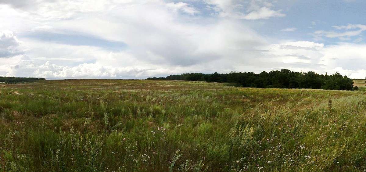 �������� ������� ����� Mary  �� PhotoGeek.ru #������ ��� �������