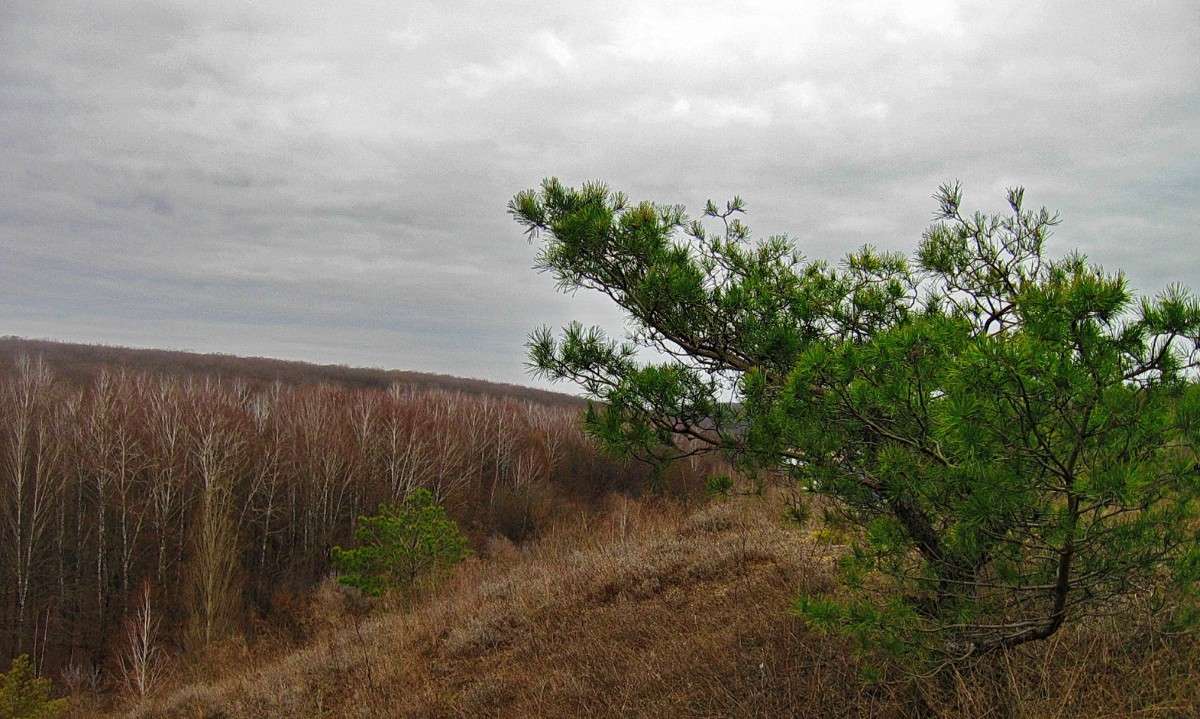 ... ����� Mary  �� PhotoGeek.ru #������ ��� �������