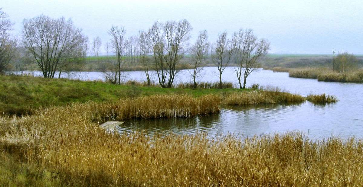 ����� ������ ����� Mary  �� PhotoGeek.ru #������ ��� �������