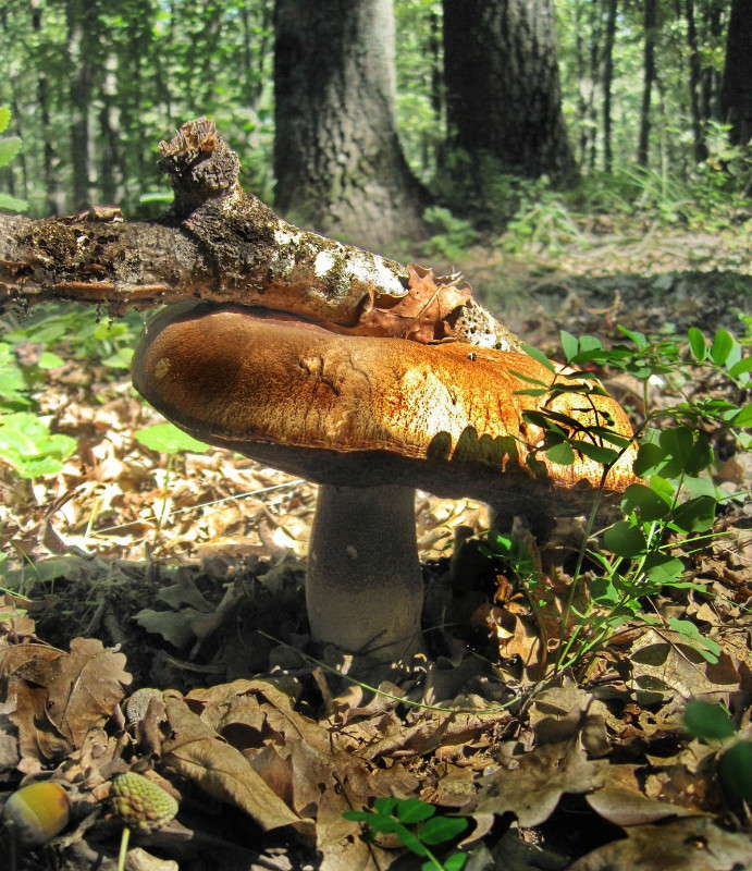 ���� �����) ����� Mary  �� PhotoGeek.ru #������ ��� �������