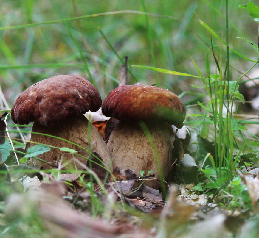 ��� ����� ����� Mary  �� PhotoGeek.ru #������ ��� �������