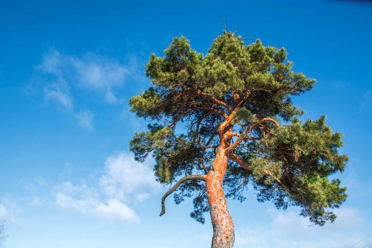 ... ����� Mary  �� PhotoGeek.ru #������ ��� �������