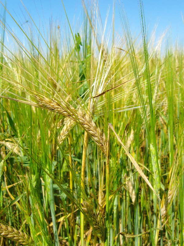 ������������ � ����) ����� Mary  �� PhotoGeek.ru #������ ��� �������