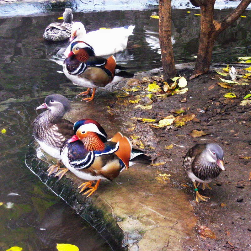 ����������) ����� Mary  �� PhotoGeek.ru #�������� ���