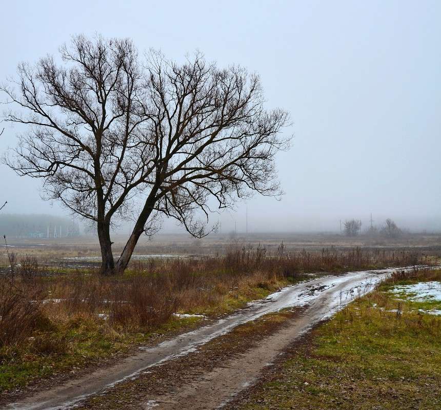 ������ ����� Mary  �� PhotoGeek.ru #������ ��� �������