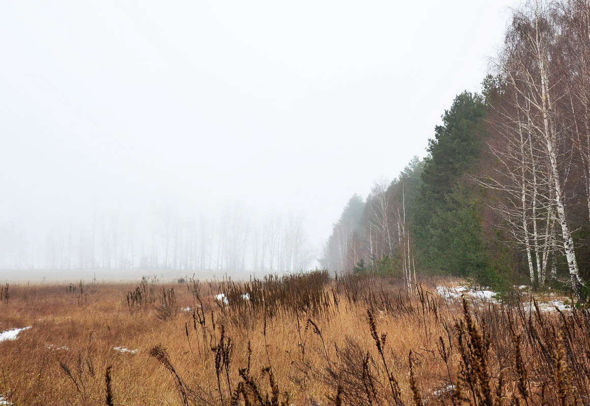 ����� ����� Mary  �� PhotoGeek.ru #������ ��� �������