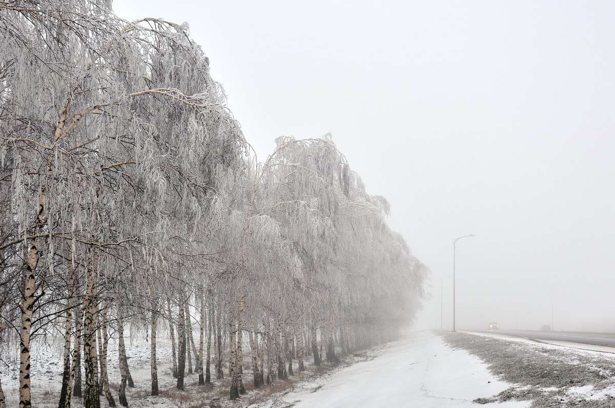 ����� � ���� ����� Mary  �� PhotoGeek.ru #������ ��� �������