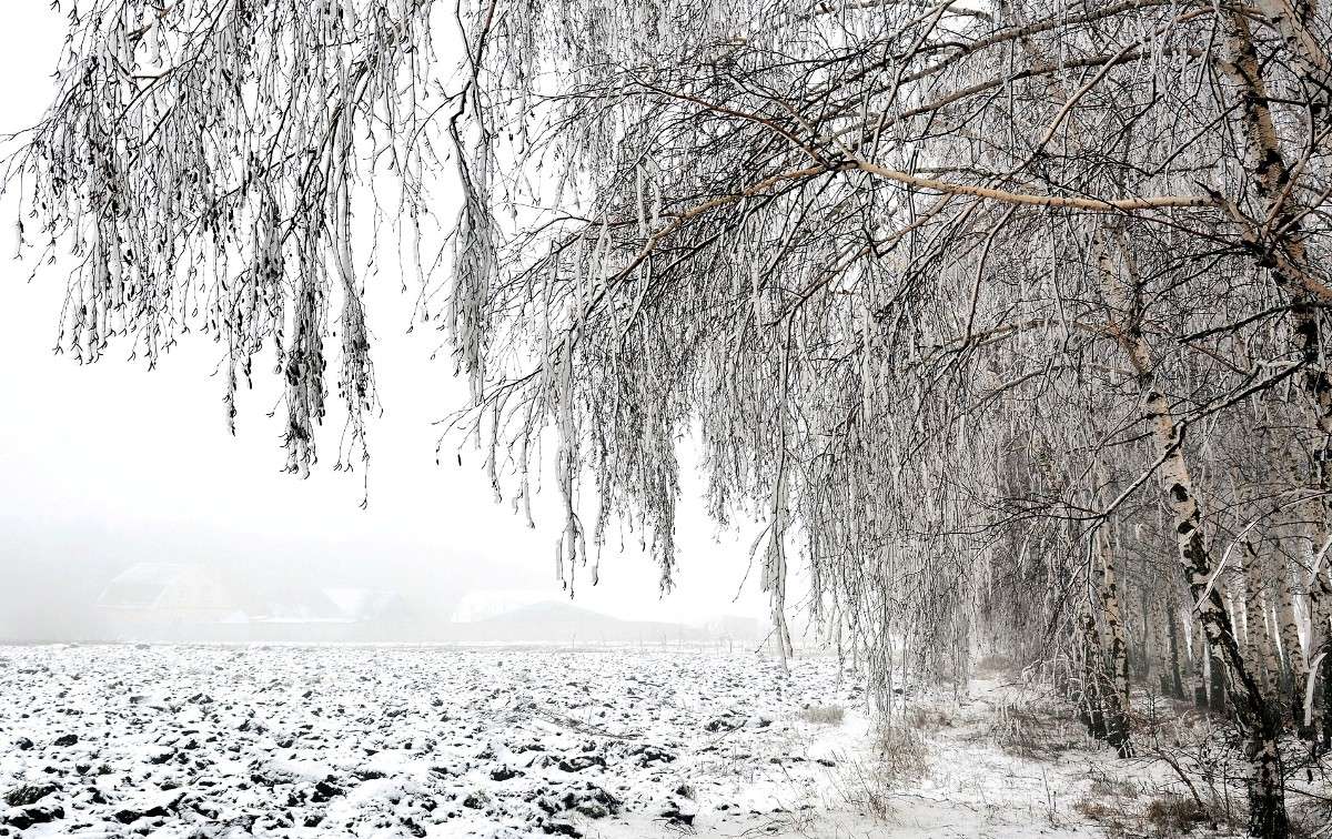 ����� ���� ����� Mary  �� PhotoGeek.ru #������ ��� �������