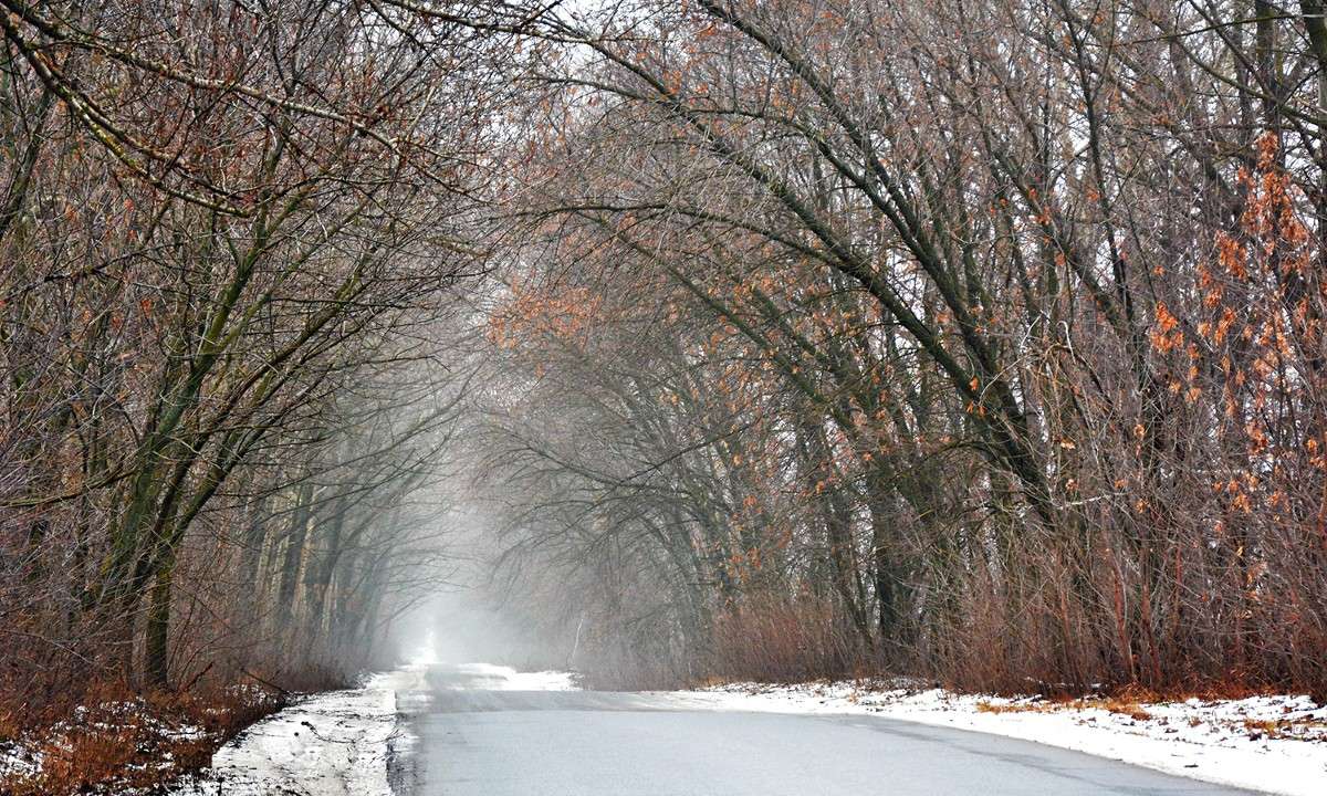 ����� ����� Mary  �� PhotoGeek.ru #������ ��� �������