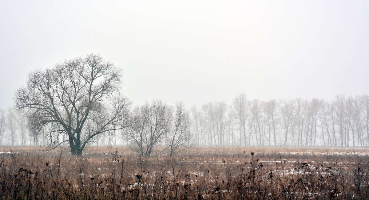 ���� ����� Mary  �� PhotoGeek.ru #������ ��� �������