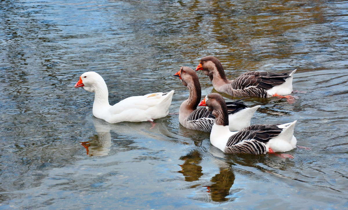 ����� ����� Mary  �� PhotoGeek.ru #�������� ���