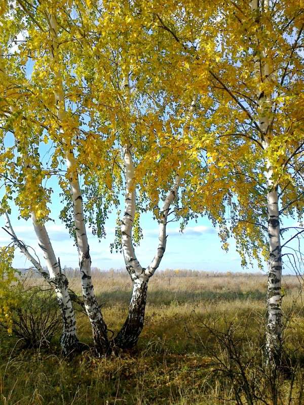 ������� ����� Mary  �� PhotoGeek.ru #������ ��� �������