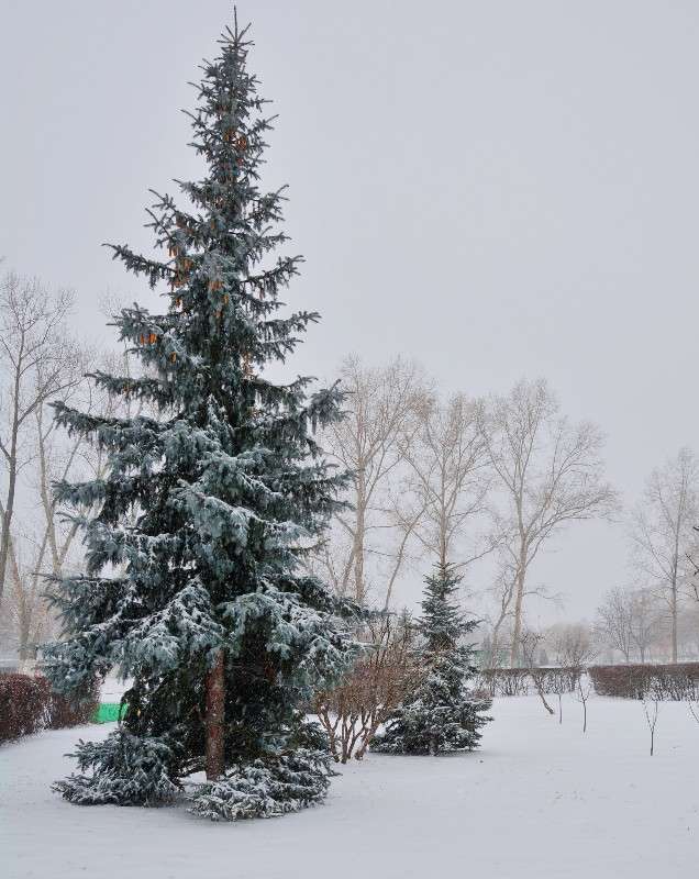 � ������ ������ ����� Mary  �� PhotoGeek.ru #������ ��� �������