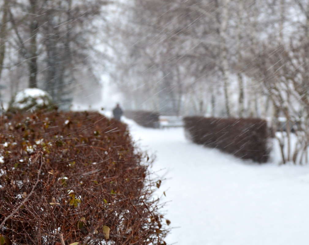 �������� ����� Mary  �� PhotoGeek.ru #������ ��� �������