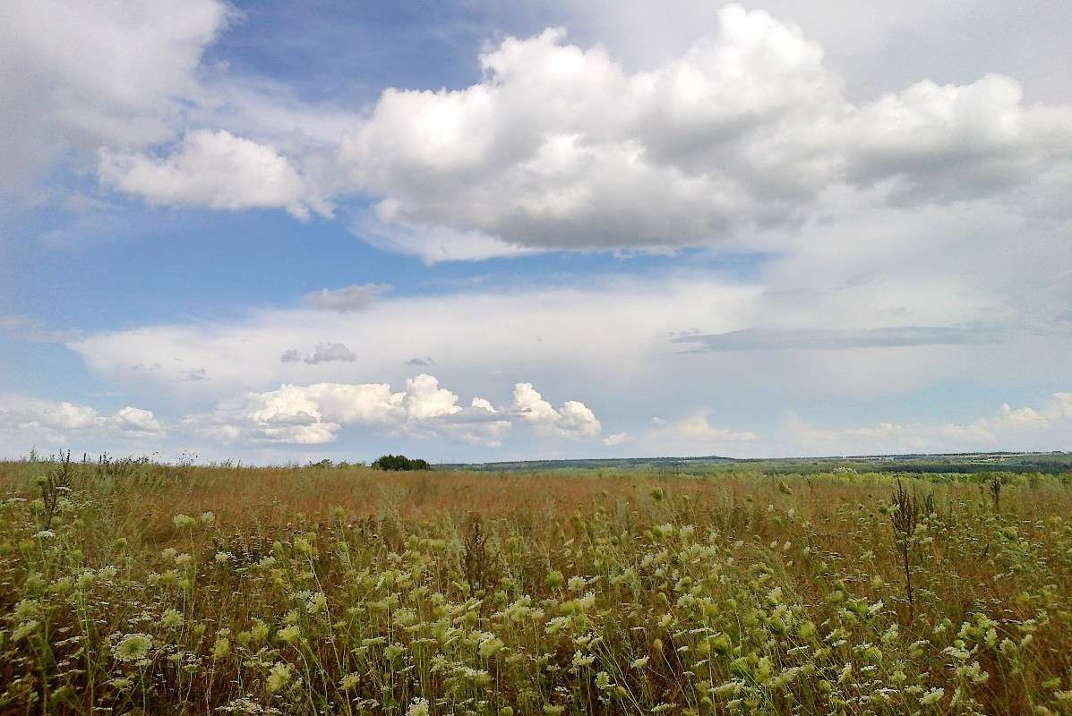 ������ ���� ����� Mary  �� PhotoGeek.ru #������ ��� �������