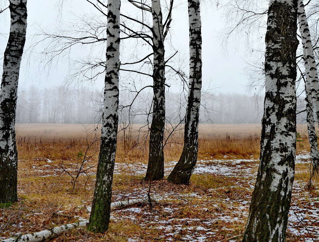 ������ ����� Mary  �� PhotoGeek.ru #������ ��� �������