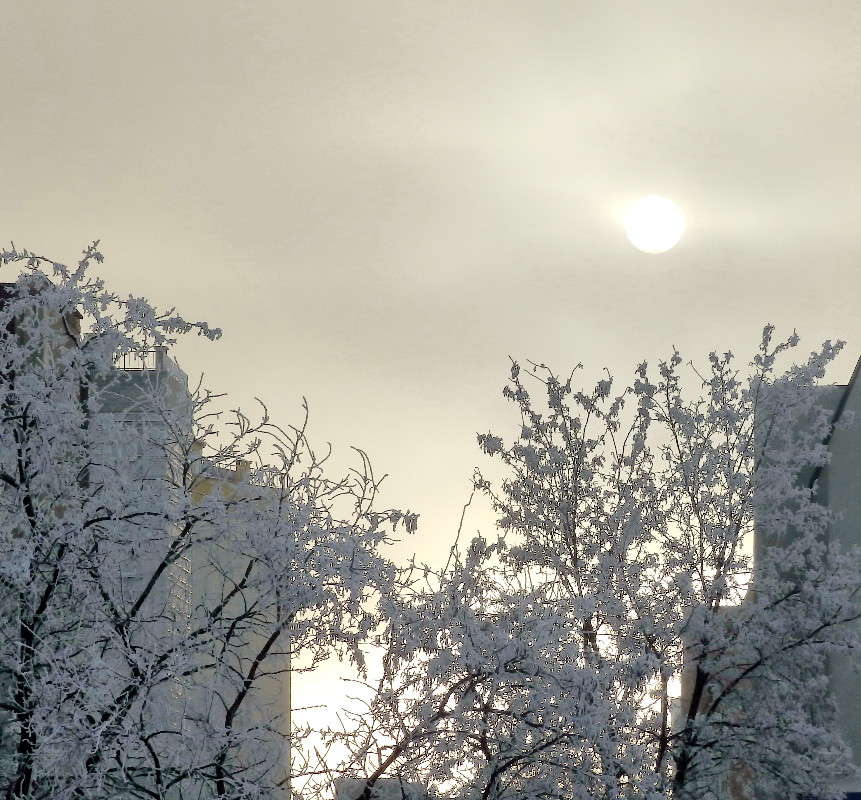 �������� ����� ����� Mary  �� PhotoGeek.ru #������ ��� �������