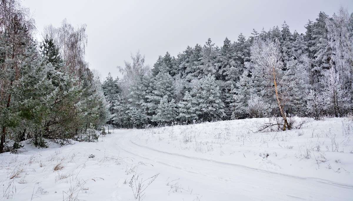 �������� ��� ����� Mary  �� PhotoGeek.ru #������ ��� �������