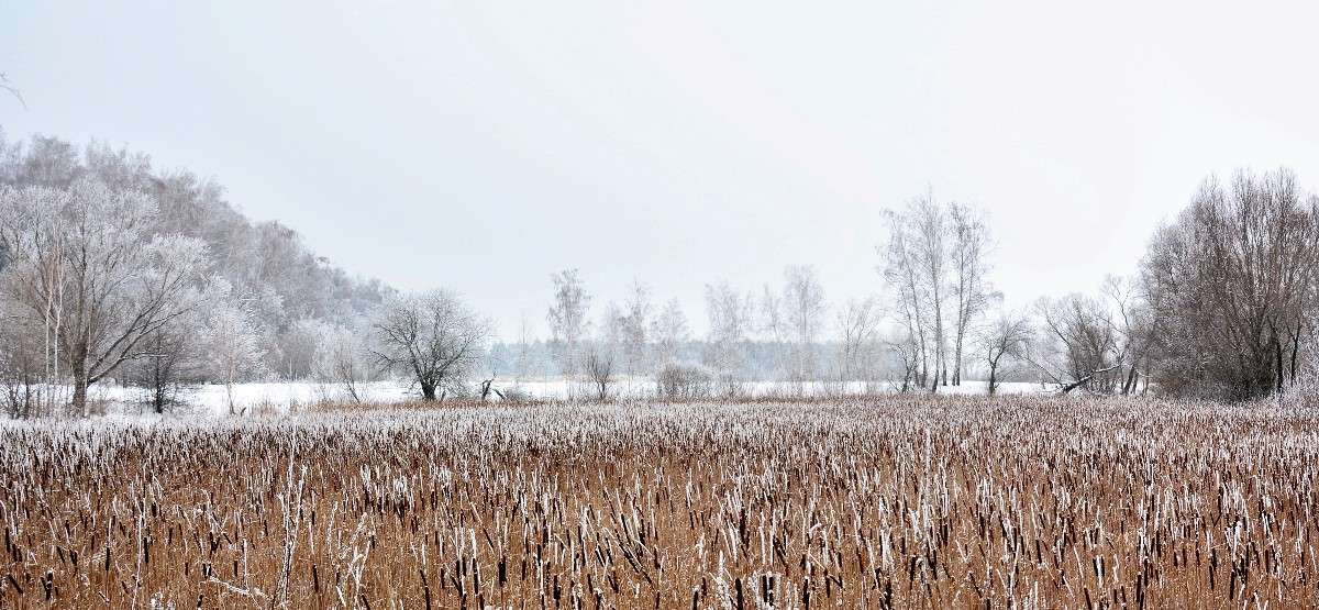 ������ ����� Mary  �� PhotoGeek.ru #������ ��� �������