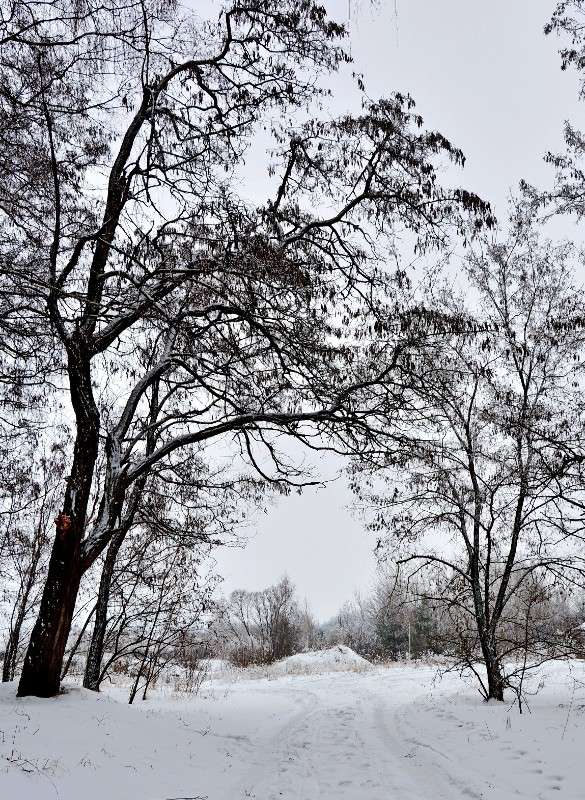 �� ���� ����� Mary  �� PhotoGeek.ru #������ ��� �������