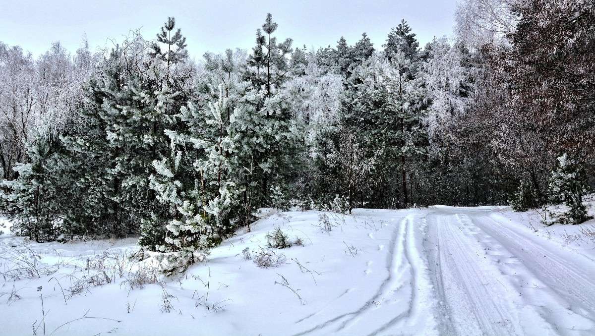 ������ ���� ����� Mary  �� PhotoGeek.ru #������ ��� �������