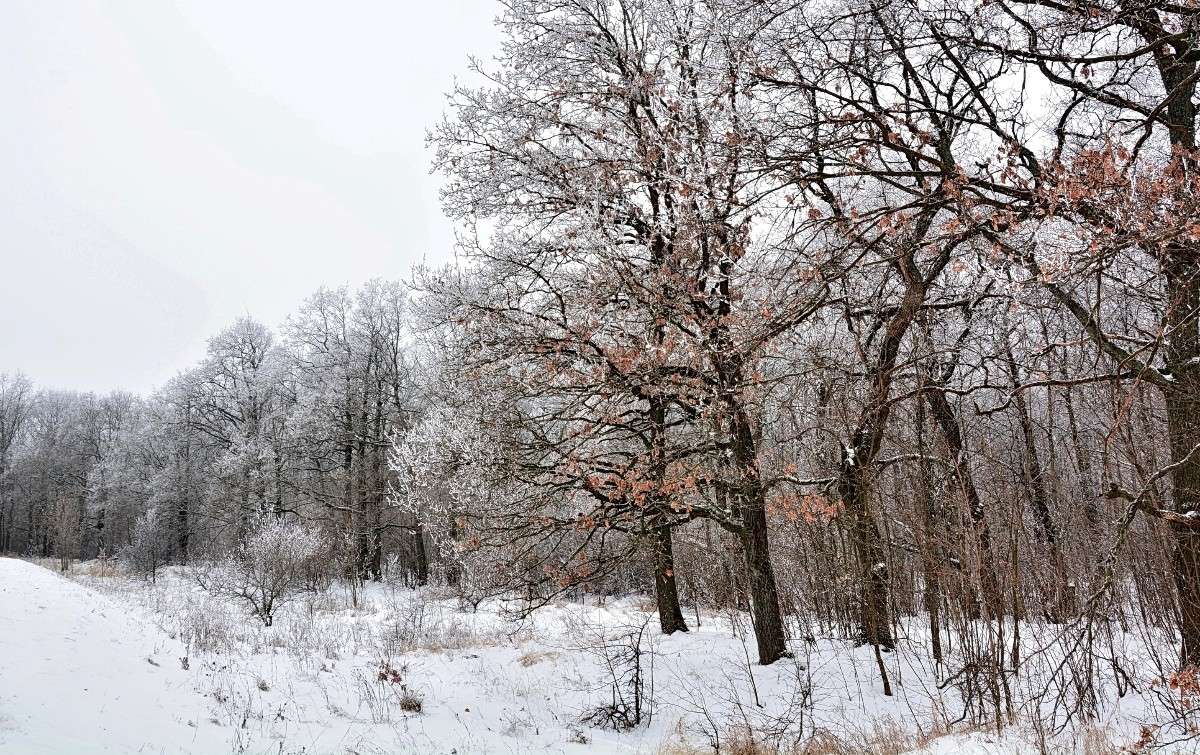 ����� ����� Mary  �� PhotoGeek.ru #������ ��� �������