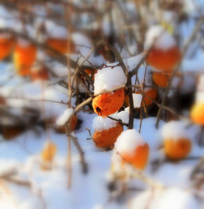 ���� ����� Mary  �� PhotoGeek.ru #������ ��� �������