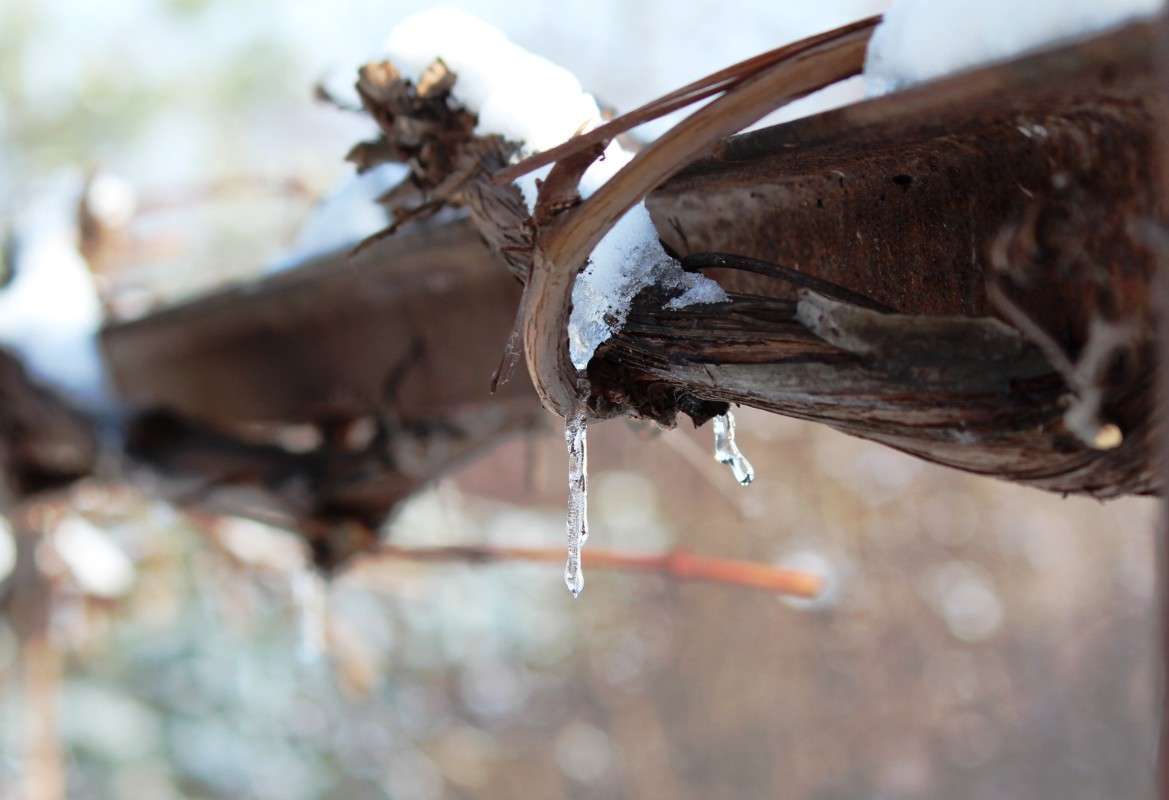 ... ����� Mary  �� PhotoGeek.ru #������ ��� �������