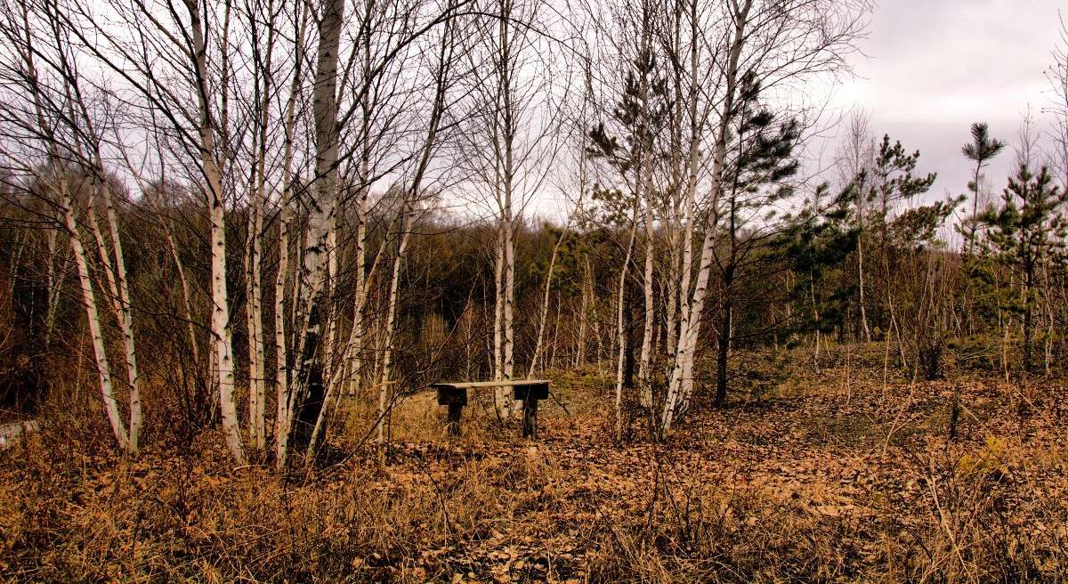 �������� ����� Mary  �� PhotoGeek.ru #������ ��� �������