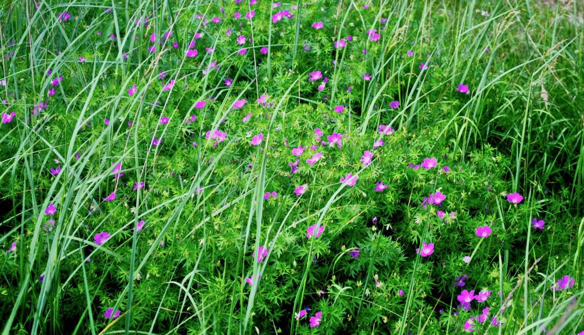 ������ ������� ����� Mary  �� PhotoGeek.ru #������ ��� �������