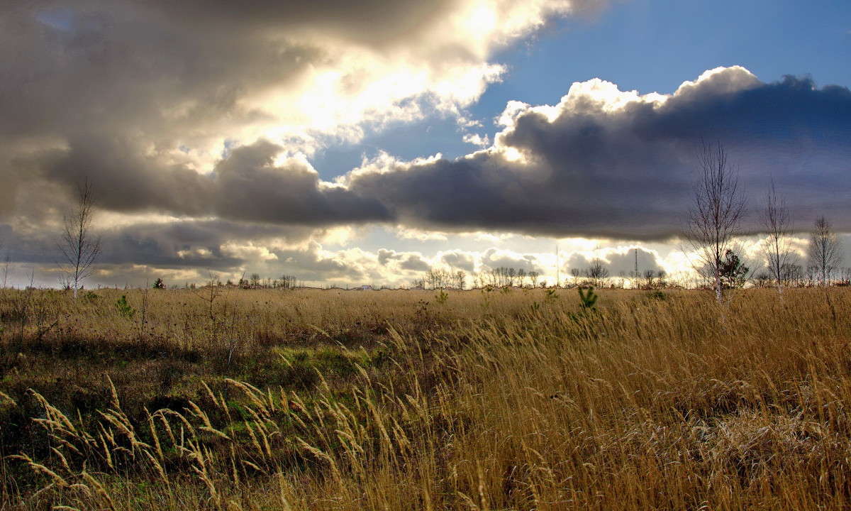 ���� ����� Mary  �� PhotoGeek.ru #������ ��� �������