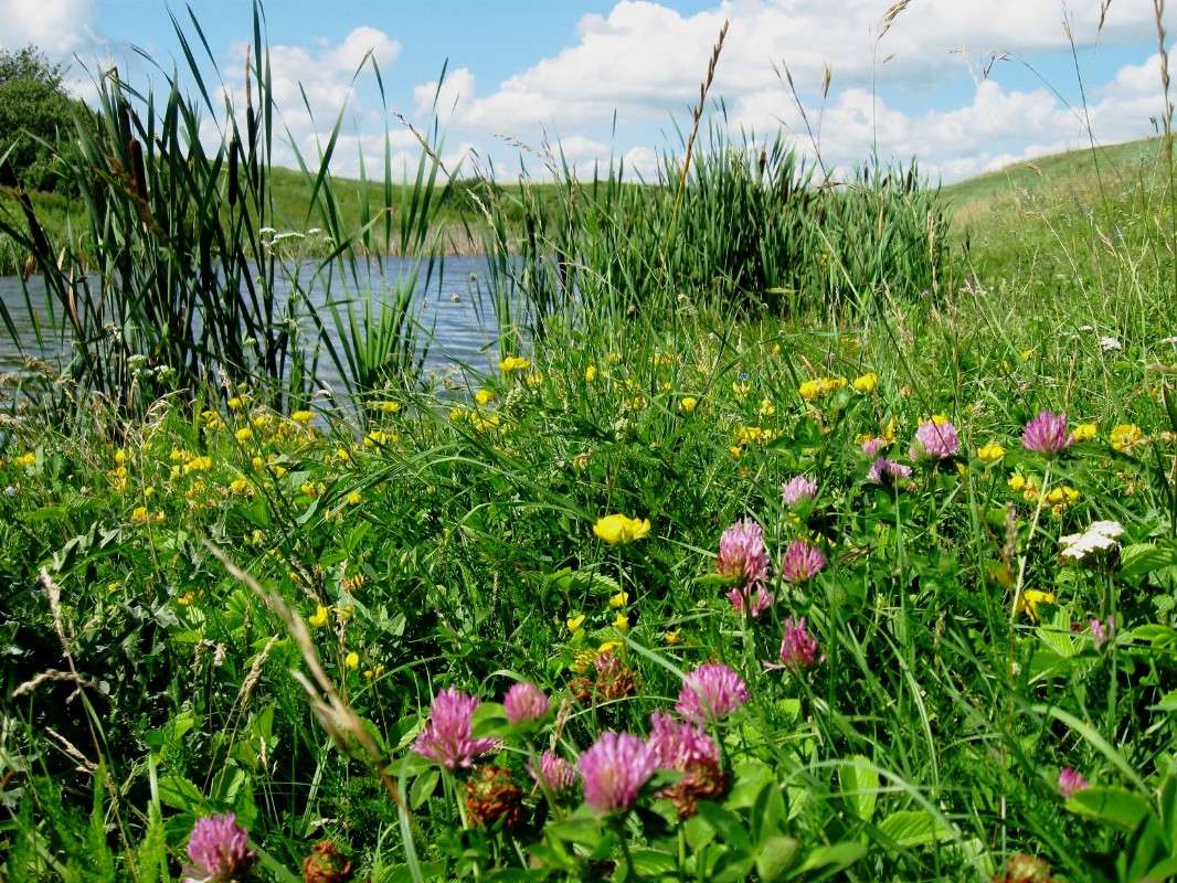 � ����� ����� Mary  �� PhotoGeek.ru #������ ��� �������